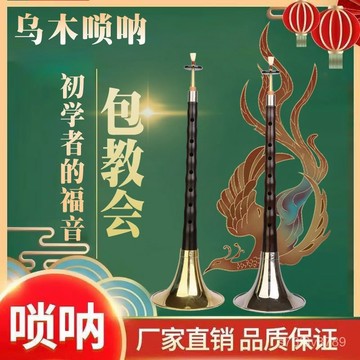 獨家正品🔥嗩吶 嗩吶為王 嗩吶樂器 烏木 專業者 初學者 演奏烏木黑檀紅木嗩吶樂器全套初學者專業入門D調民族中號喇叭