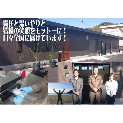 ふるさと納税 東洋町 年末年始用!活き〆伊勢海老600g前後(1〜3尾)天然高知県産(誰でも簡単説明書付き)