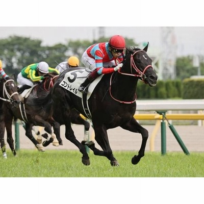 専用出品です、競馬ぬいぐるみ【コントレイル号ジャパンCSサイズ】