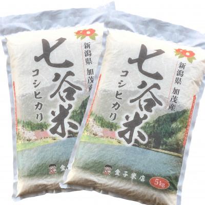 ふるさと納税 加茂市 2024年1月発送開始『定期便』七谷米(5kg×2)全3回