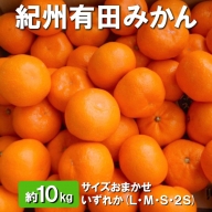 紀州有田みかん　約10kg 　サイズおまかせ　いずれか　(L・М・S・2S) ※着日指定不可 ※2023年11月中旬～2024年1月中旬頃に順次発送予定