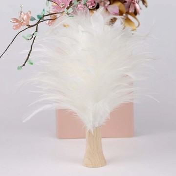 Hands｜雪白雞(雞毛撢子)