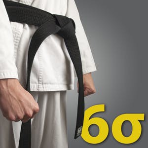 Six Sigma Black Belt