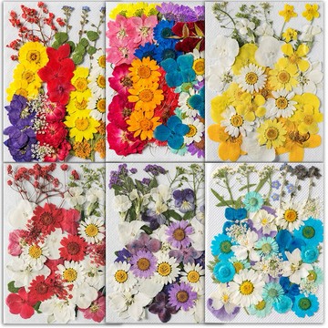 【莊園系列】 大花包組合 真花壓花 永生花 森林系 少女寫真 壁畫 DIY水晶滴膠 乾燥花 植物標本