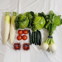  旬の新鮮な野菜セット 6種＜野菜詰め合わせセット＞ ＜出荷時期：2022年7月1～8月31日ごろ＞
