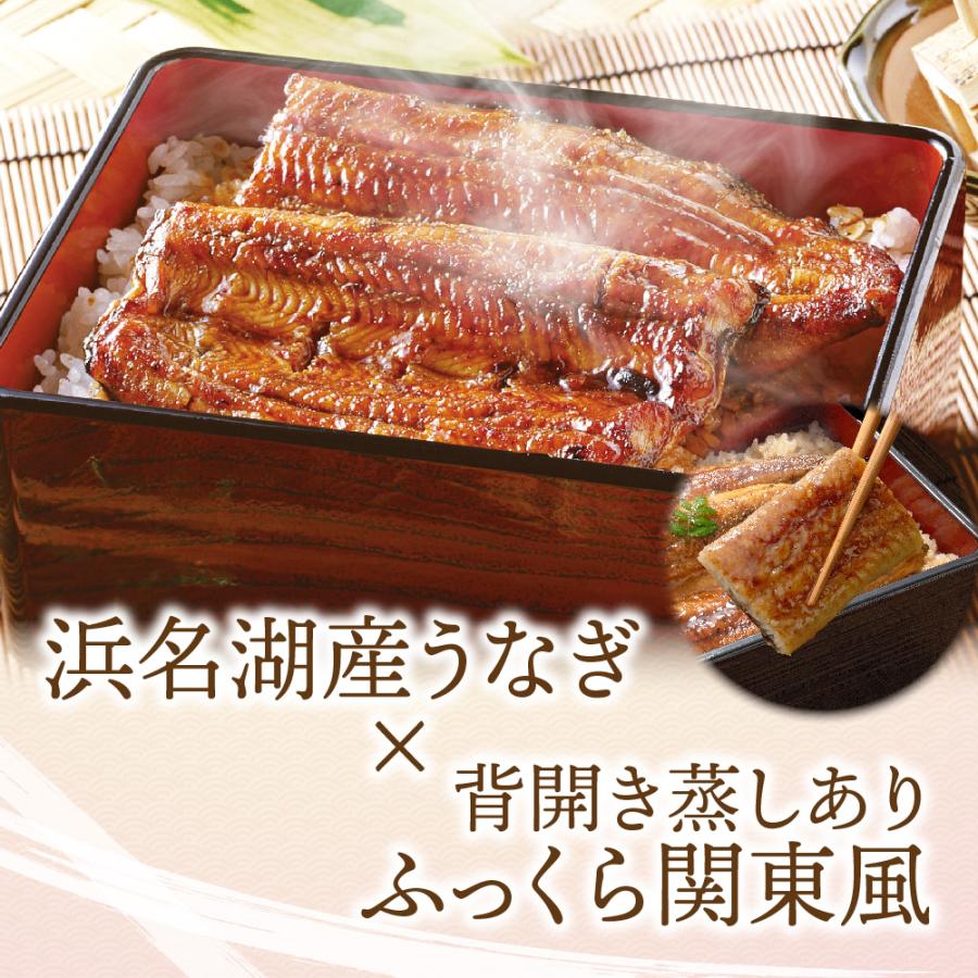 うなぎ 蒲焼 140g×2尾入り 2〜3人分 浜名湖産 送料無料 国産 ギフト お祝い 内祝 浜名湖 土用の丑の日 お取り寄せ グルメ プレゼント 鰻 ウナギ かば焼  贈答