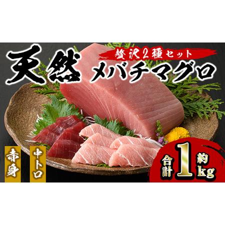 ふるさと納税 天然メバチマグロ 贅沢2種セット(合計約1kg)中トロ 赤身_yushin-1073 鹿児島県長島町