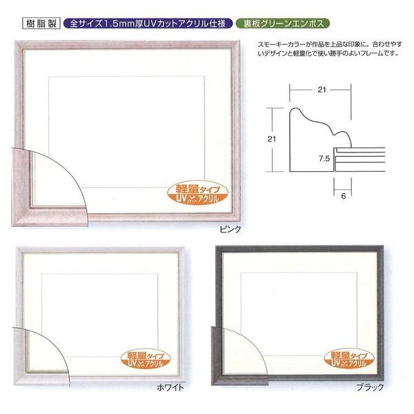 〔軽量水彩額〕色あせを防ぐUVカットアクリル・マット付き 水彩額F10号 ホワイト