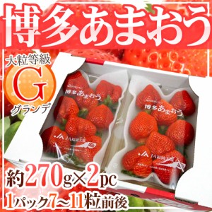 福岡産 博多 ”あまおういちご” 等級G（グランデ）1箱 2パック入り 約270g×2パック 送料無料