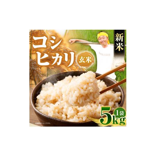 ふるさと納税 高知県 土佐清水市 令和6年産 新米コシヒカリ玄米５kg（１袋）お米 健康食品 食物繊維