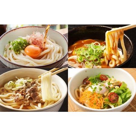 ふるさと納税 005A196 麺名人 なにわうどん（5食×3パックセット） 大阪府泉佐野市