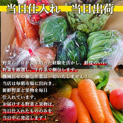 ふるさと納税 時津町 こだわり野菜セット 7品目以上 詰め合わせ (時津町)全4回