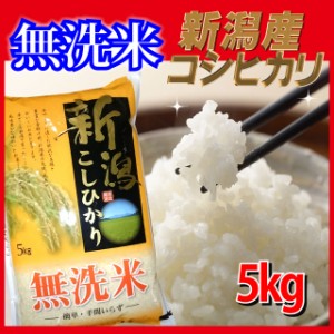 無洗米 新潟産 コシヒカリ 5kg 令和4年産 ※北海道・九州400円、沖縄1,800円追加料金有り