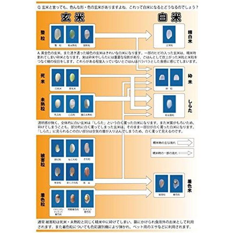 青天の霹靂 玄米 30kg 令和4年産 青森県産