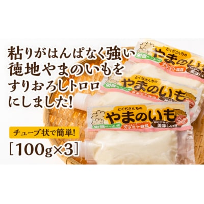 徳地やまのいものすりおろしトロロ　100g×3個 E-196