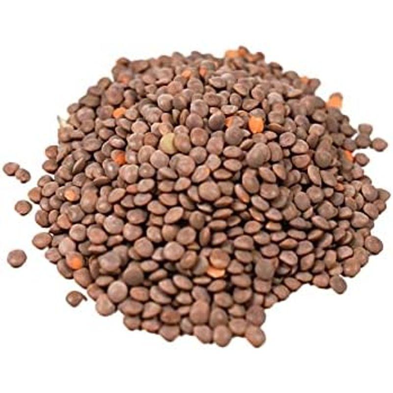 ベジタブルハート アリサン 有機レンズ豆 (皮付き) 500g 3袋