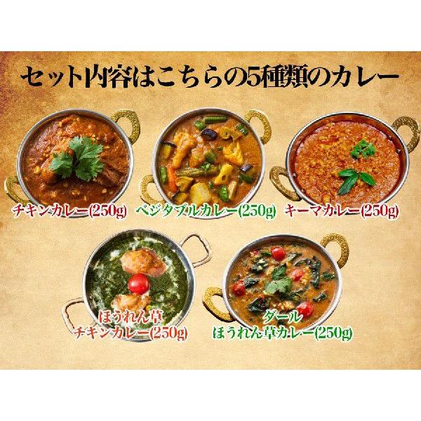 インドカレー 5種類のカレー お試しセット インドカレーの店 神戸 アールティー 初回限定価格  送料無料 セール