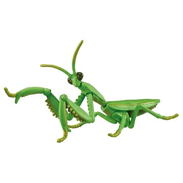 TOMICA ANIA 探索動物系列 AL-32 枯葉大刀螳 AN95250 多美動物園