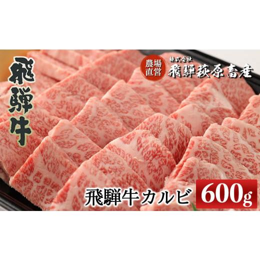 ふるさと納税 岐阜県 下呂市 飛騨牛カルビ焼肉  600g　 国産 牛肉 ブランド牛 焼肉焼き肉 下呂市 おすすめ 牛 肉 焼き肉 焼肉用 焼き肉用 ギフト 贈答…