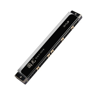 德國進口音簧28孔復音口琴重音專業演奏級24孔初學者入門【北歐家居生活】