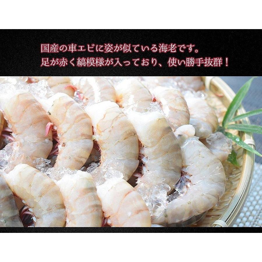 天然 海老 無頭 1.8kg 約70尾前後 フラワーエビ えび 海鮮 お取り寄せグルメ 送料無料