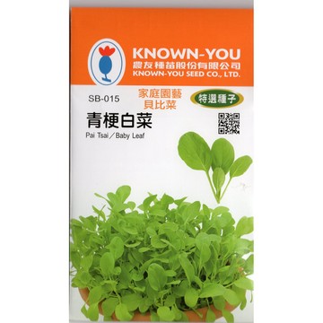 【拈花微笑】青梗白菜｜貝比菜種子｜12g｜非基因改造種子｜蔬菜｜蔬果｜有機無毒｜高發芽率