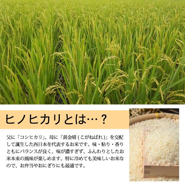 令和5年宮崎県産ヒノヒカリ9kg（4.5kg×2袋）／単一原料米