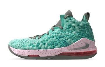LEBRON 17 GS SOUTH BEACH