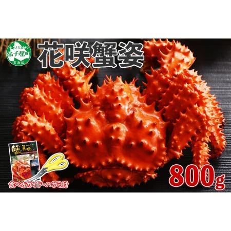 ふるさと納税 1305.ボイル花咲蟹姿 800g 食べ方ガイド・専用ハサミ付 カニ かに 蟹 海鮮 送料無料 北海道 弟子屈町 北海道弟子屈町