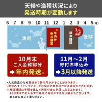 カニ 男鹿沖産 紅ズワイガニ 600g前後×2匹 男鹿なび