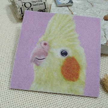 玄鳳鸚鵡-豎毛-不織布杯墊-吸水杯墊~彩虹暈染