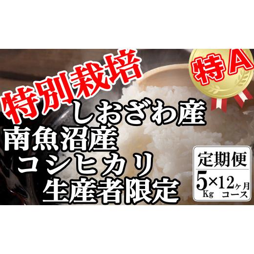 ふるさと納税 新潟県 南魚沼市 特別栽培 生産者限定 南魚沼しおざわ産コシヒカリ