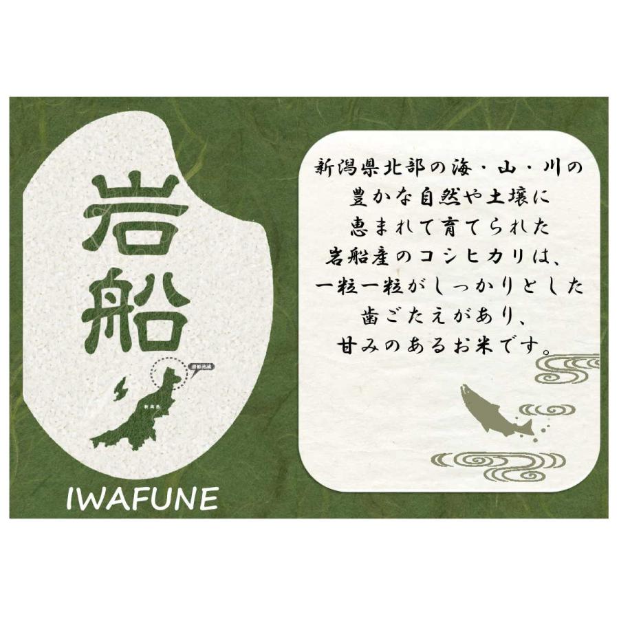新米 令和５年産 米 お米 3kg 新潟 岩船産 コシヒカリ 精米