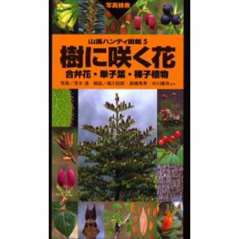 樹に咲く花 合弁花・単子葉・裸子植物 | LINEブランドカタログ