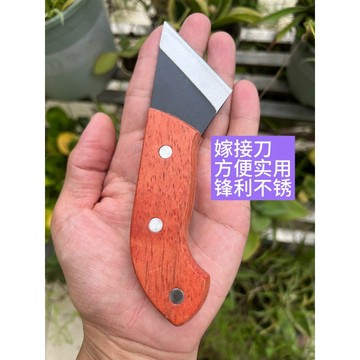 嚴選好物 實用園藝工具 新款嫁接工具 嫁接刀 接樹專用刀 果樹嫁接神器 芽接刀 木柄鋒利 果樹修剪工具 園藝工具修剪工具