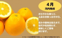 えひめかんきつ定期便　愛媛県 食べ比べ 果実 フルーツ 旬 オレンジ