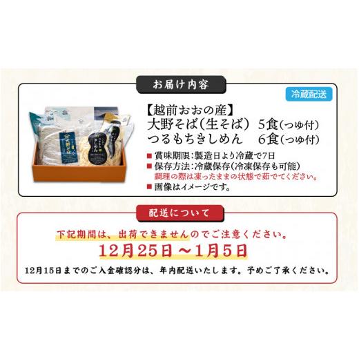 ふるさと納税 福井県 大野市 越前大野産 石臼挽き 越前そば 生そば5食 ＋ きしめん6食（つゆ付）