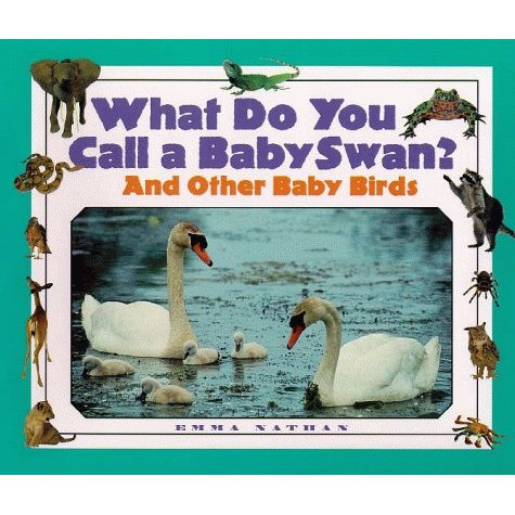 What Do You Call a Baby Swan?: And Other Baby Birds (What Do You Call A. .)