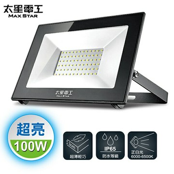 【太星電工】100WLED防水投射燈(110V-220V)白光 WD10100