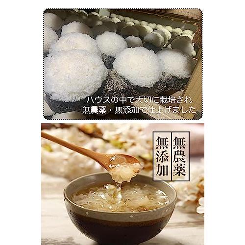 白きくらげ 大容量100g 無農薬ハウス栽培 乾燥白きくらげ(100グラム単品)