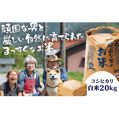 ふるさと納税 山口市 頑固な男のお米(コシヒカリ)白米20kg D-360