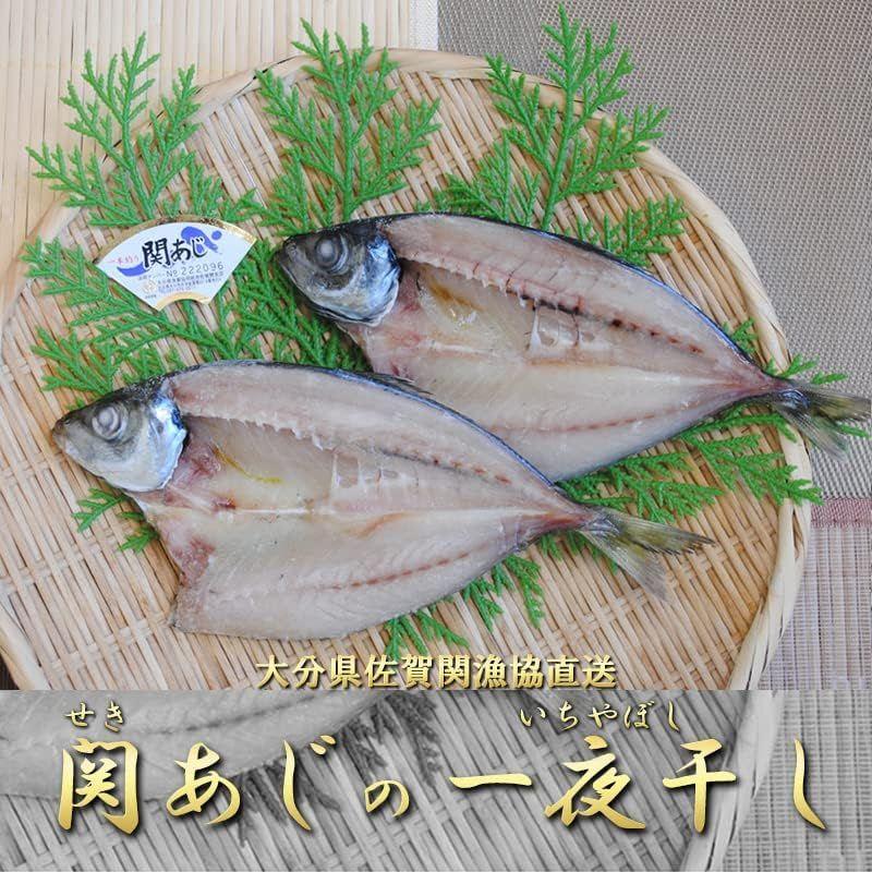 関アジ一夜干し Sサイズ 4枚 大分県産 佐賀関漁協