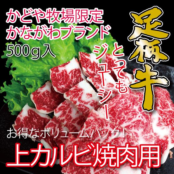 足柄牛上カルビ焼肉用500g 国産牛 かながわブランド  焼肉 セット バーベキュー BBQ bbq ブランド ホルモン 牛 肉 牛肉  国産 ギフト 父の日 母の日 パーティー