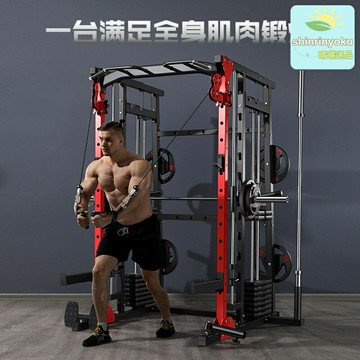 【家用全能】綜合訓練器 健身器材 飛鳥架 龍門架 史密斯機 臥推架 深蹲架 多功能組合 力量訓練 家用商用皆宜