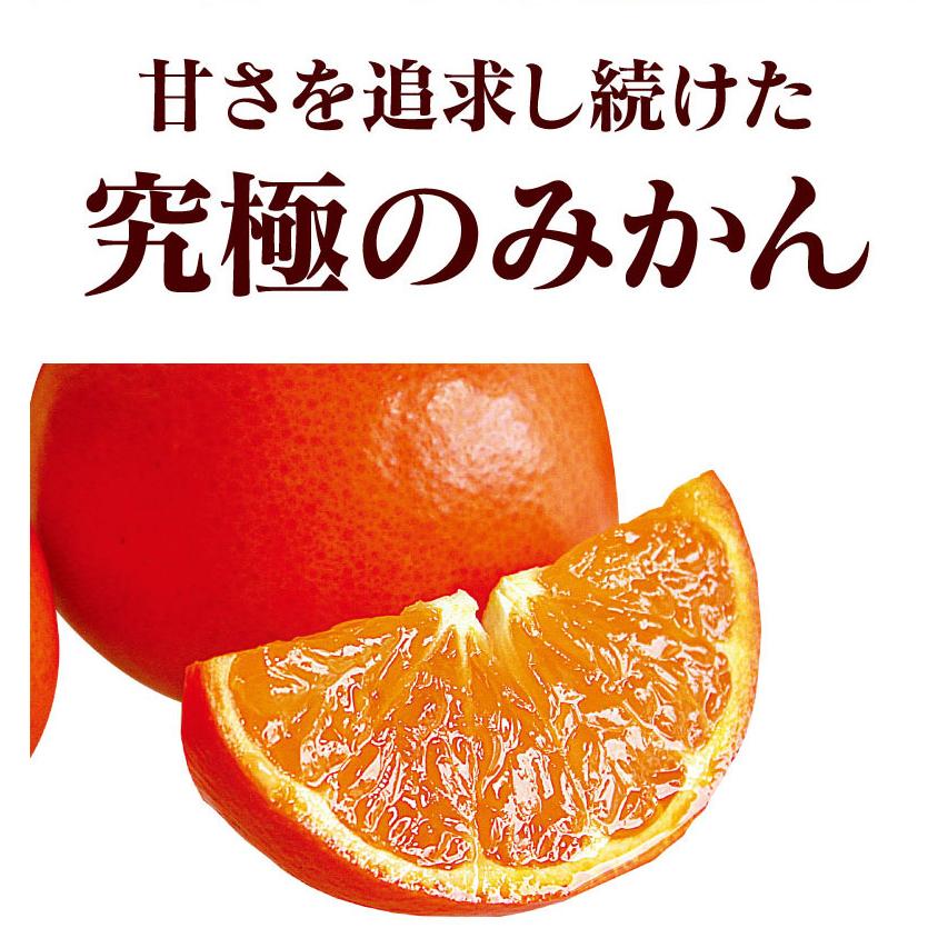 冬ギフト 幸福の みはや ミカン 3kg 送料無料 ＜11月下旬出荷予定＞ 特選  熊本産 希少 新品種 甘い 蜜柑 農家直送