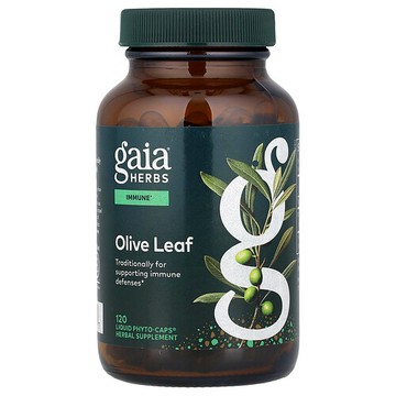 Gaia Herbs, 橄欖葉，120 粒液體 Phyto-Caps® 膠囊