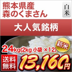 白米 24kg (2kg×12袋) 新米 令和5年産 熊本県産 森のくまさん  お米