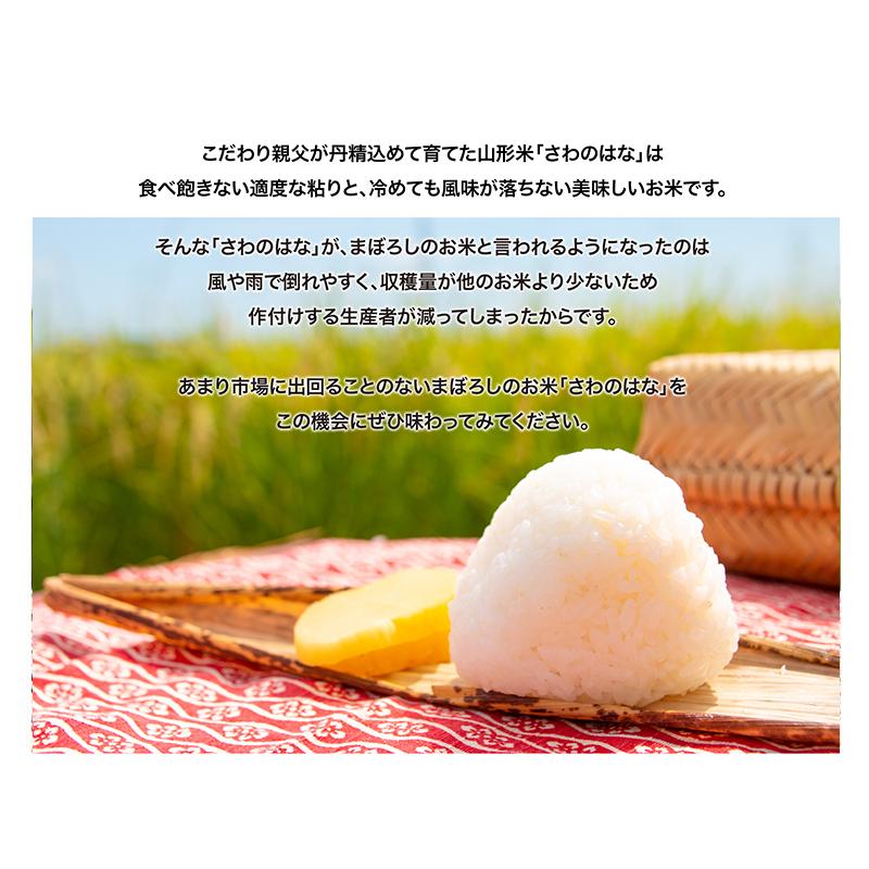 まぼろしの米 さわのはな20kg(10×2)　山形県産　令和5年産　精白米　送料無料（沖縄離島除く）　産直