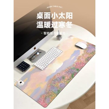 冬季加熱鼠標墊辦公室大號防凍手電腦暖桌墊恒溫定時桌面鼠標暖手寶學生學習寫字發熱保暖防水皮革墊多檔調節