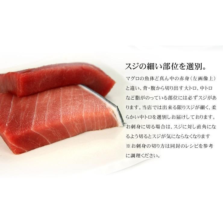 本マグロ中トロ 1kg 送料無料 解凍レシピ付 刺身 海鮮 食べ物 メガ盛り《pbt-bf14》〈bf1〉yd9[[本鮪中トロセット1kg]